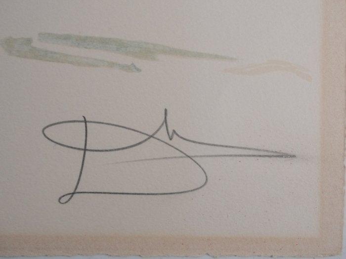 Salvador Dali (1904-1989) - American clock : Desert Watch, Antiek en Kunst, Antiek | Overige Antiek