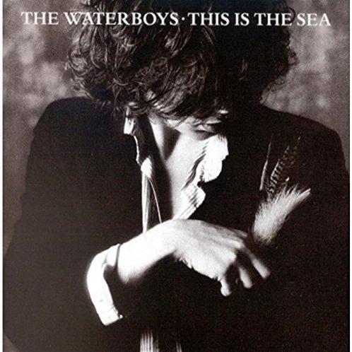 cd - The Waterboys - This Is the Sea, Cd's en Dvd's, Cd's | Overige Cd's, Zo goed als nieuw, Verzenden