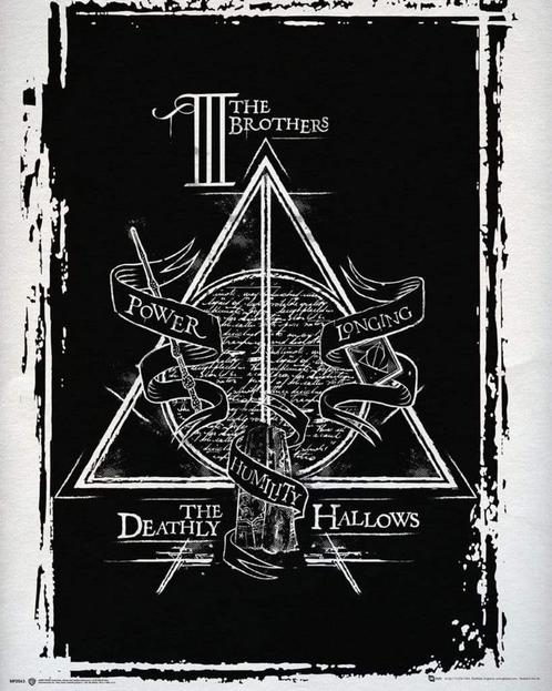 Poster Harry Potter Deathly Hallows Graphic 40x50cm, Verzamelen, Posters, Nieuw, A1 t/m A3, Verzenden