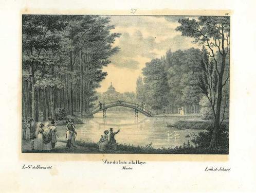 Zicht op The Hague, Antiek en Kunst, Kunst | Etsen en Gravures
