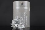 Figuur - Swarovski - Zwaan (Boxed) - Kristal