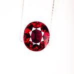 Zonder Minimumprijs Granaat - 4.19 ct - International, Nieuw