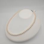 Zonder Minimumprijs - Halsketting Zilver Parel - Akoya 7.0mm, Sieraden, Tassen en Uiterlijk, Kettingen, Nieuw