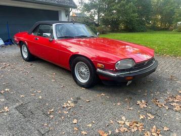 Jaguar - XJS 5.3 V12 Cabriolet - 1990 beschikbaar voor biedingen