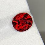 Zonder Minimumprijs - 1 pcs Rood Granaat - 3.28 ct -, Nieuw