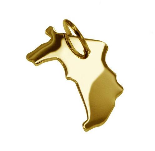 Gouden Provincie Groningen ketting hanger, Sieraden, Tassen en Uiterlijk, Kettinghangers, Verzenden
