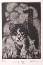 Charmante kat afdruk “Cumulonimbus wolk” – mezzotint,