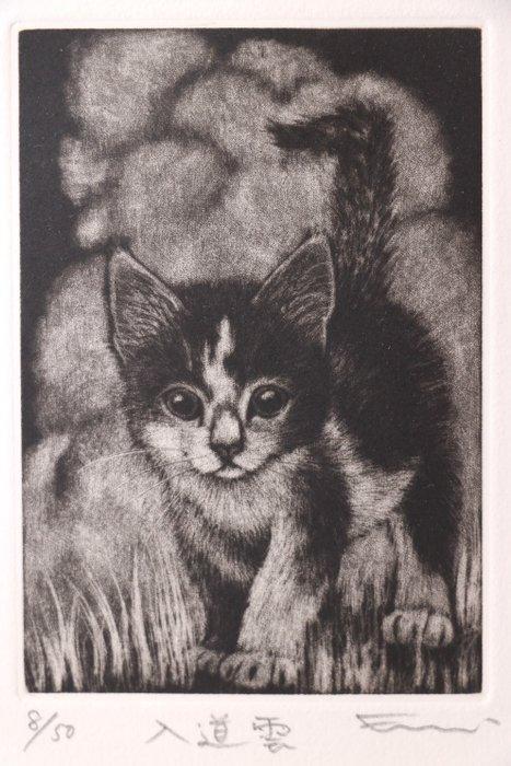 Charmante kat afdruk “Cumulonimbus wolk” – mezzotint,, Antiek en Kunst, Antiek | Overige Antiek