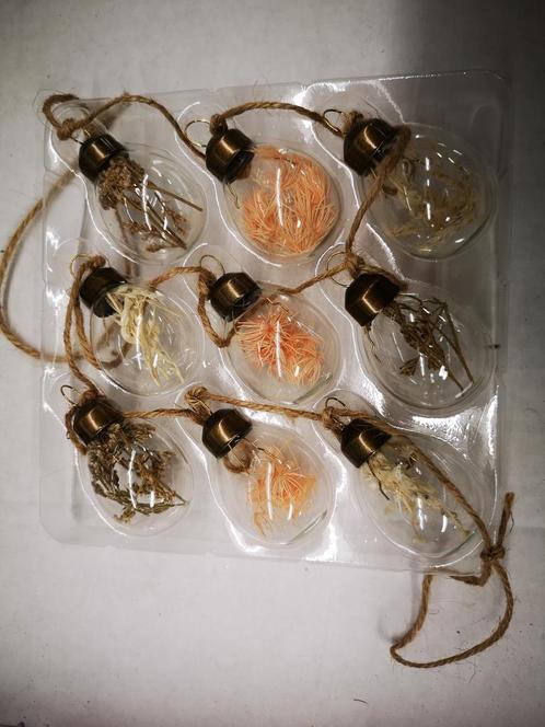Glazen eieren bollen gevuld met droogbloemen zalm/wit, Hobby en Vrije tijd, Knutselen, Nieuw, Ophalen of Verzenden