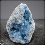 Natuurlijke Celestiet Druzen/vrije vorm- 5398.99 g