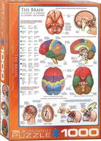 The Brain Puzzel (1000 stukjes) | Eurographics - Puzzels, Nieuw, Verzenden