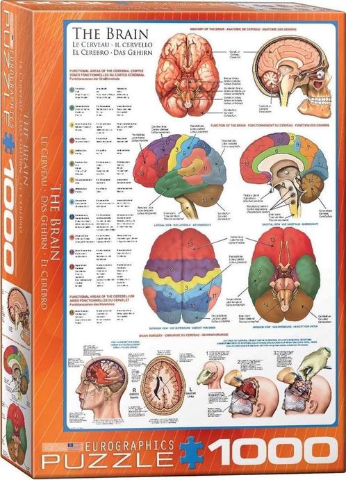 The Brain Puzzel (1000 stukjes) | Eurographics - Puzzels, Hobby en Vrije tijd, Denksport en Puzzels, Nieuw, Verzenden