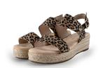 Dolcis Sandalen in maat 39 Panter, Kleding | Dames, Schoenen, Dolcis, Overige kleuren, Verzenden, Sandalen of Muiltjes