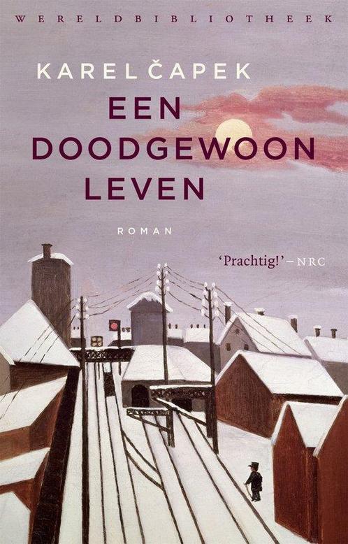9789028427297 Een doodgewoon leven Karel ?Apek, Boeken, Romans, Nieuw, Verzenden
