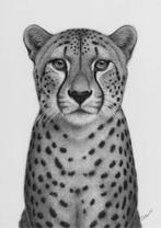 Schu - Cheetah, Antiek en Kunst, Kunst | Designobjecten