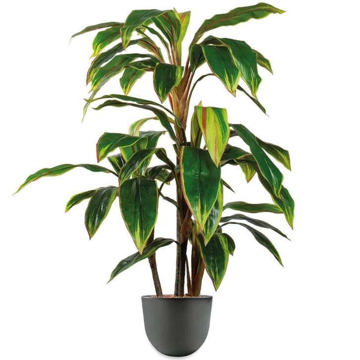 Cordyline kunstplant, H110cm, Huis en Inrichting, Kamerplanten, Ophalen of Verzenden