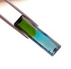 Toermalijn - 9.83 ct - Antwerp Laboratory for Gemstone, Nieuw