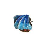 Schelp met luchtaansluiting blauw / As-151, Dieren en Toebehoren, Vissen | Aquaria en Toebehoren, Verzenden, Nieuw