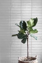 Wandtegel Pamesa Mayolica Tortora Opal Grijs Glans 7,5x30, Doe-het-zelf en Verbouw, Tegels, Nieuw, 20 tot 40 cm, 10 m² of meer