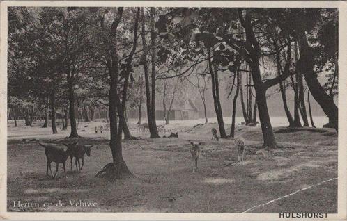 HULSHORST - Herten op de Veluwe, Verzamelen, Ansichtkaarten | Nederland, Verzenden