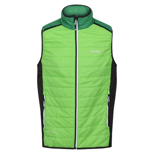 -73% Regatta  Regatta Heren halton vii gewatteerd gilet  maa, Kleding | Heren, Bodywarmers, Groen, Nieuw, Verzenden