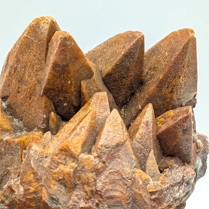 CALCIT, GROSSI kristallen scalenoëdrisch, Sardinië, Verzamelen, Mineralen en Fossielen