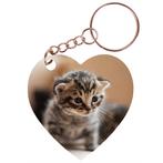 Sleutelhanger hartje 5x5cm - Kittens op Onderzoek-Ontdekking, Ophalen of Verzenden, Nieuw