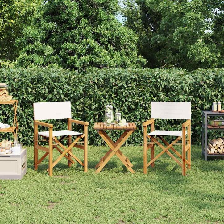 vidaXL Regisseursstoelen inklapbaar 2 st massief teakhout, Tuin en Terras, Tuinstoelen, Nieuw, Teakhout, Verzenden