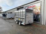 Ifor Williams veewagen | 372x178x213 cm - 3500 kg | Voorraad, Nieuw, Aluminium, Overige typen