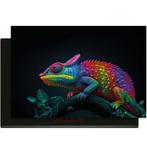 Neon Chameleon – Inductie Beschermer, Verzenden, Nieuw