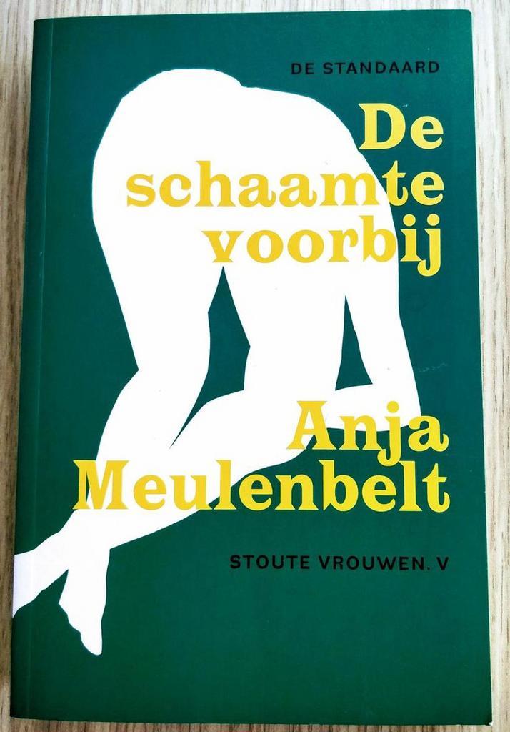 De schaamte voorbij / Stoute vrouwen / 5 9789086910380, Boeken, Romans, Zo goed als nieuw, Verzenden