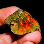 Opaal Ongeveer het kleurrijke vuur, zeer zeldzaam! 50 cent.-