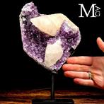 Exclusieve Amethist Druse - Amethist van eerste kwaliteit, Verzamelen, Mineralen en Fossielen