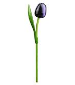 Houten tulp op steel 34 cm Aubergine white, Ophalen of Verzenden, Nieuw