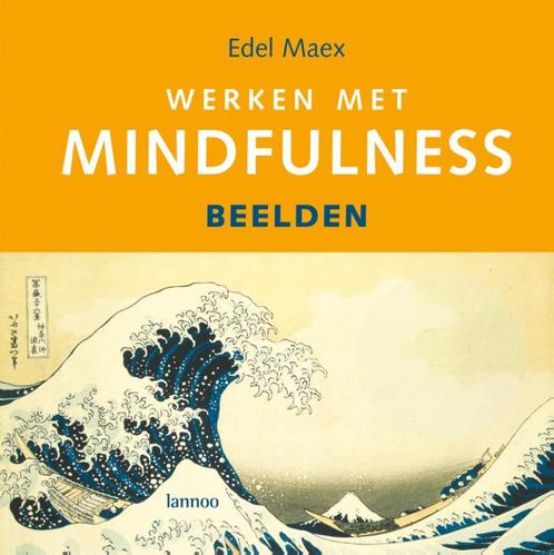 Werken met mindfulness 9789020971569 E. Maex, Boeken, Esoterie en Spiritualiteit, Zo goed als nieuw, Verzenden