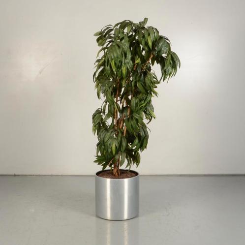 Gebruikte plantenbak met gebruikte kunstplant - Aluminium -, Huis en Inrichting, Kamerplanten, Ophalen of Verzenden