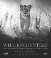 Wild Encounters 9780847858323 David Yarrow, Verzenden, Gelezen, David Yarrow