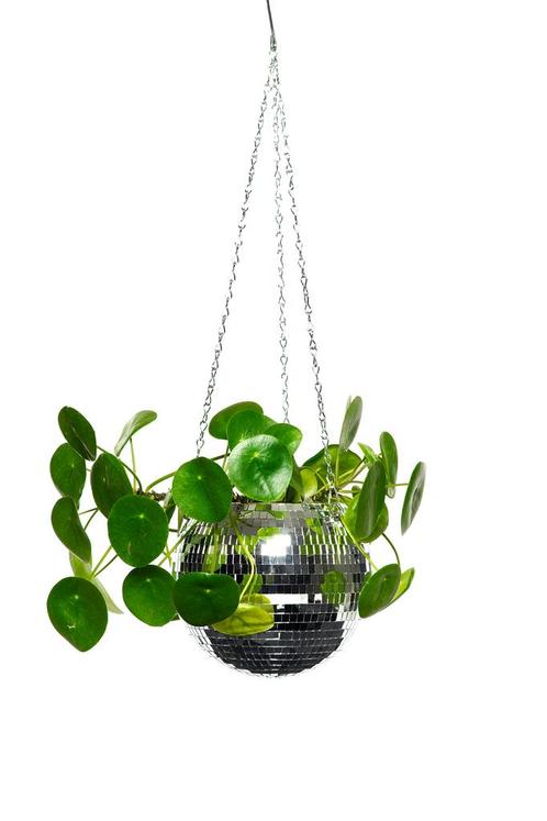 Discobal Hangpot Hangplant 20 cm Hangende Plantenpot Bloempo, Hobby en Vrije tijd, Feestartikelen, Carnaval, Feestartikel, Nieuw