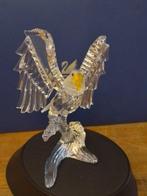 Swarovski - Beeldje - Bald Eagle 248003 - Boxed +