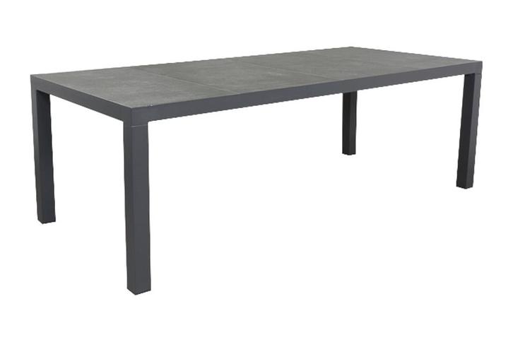 VDG President tuintafel 220 x 100 cm., Tuin en Terras, Tuintafels, Nieuw, Overige materialen, Rond, Verzenden