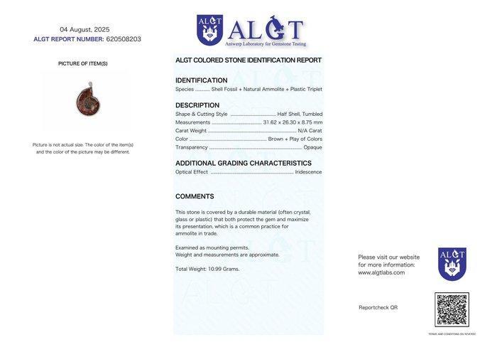 Geen veilingreserve - ALGT-gecertificeerd - Grote en Zeer, Verzamelen, Mineralen en Fossielen