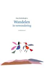 9789047707691 Wandelen in verwondering Hans Moolenburgh Sr., Verzenden, Nieuw, Hans Moolenburgh Sr.