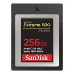 SanDisk 256GB Extreme Pro CFexpress Type B 1700MB/s, Ophalen of Verzenden, Zo goed als nieuw, SanDisk