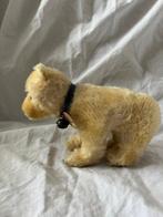 Steiff - Teddybeer Steiff Eisbär - 1910-1920 - Duitsland, Antiek en Kunst, Antiek | Speelgoed
