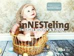 Boek Innesteling, zwanger worden en blijven 9789082022162, Boeken, Verzenden, Zo goed als nieuw