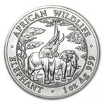 Zambia Olifant 1 oz 2003, Verzenden, Losse munt, Zilver