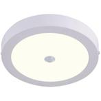 LED Downlight - Facto Dury - PIR Bewegingssensor 360° + Dag, Metaal of Aluminium, Nieuw, Ophalen of Verzenden, Led