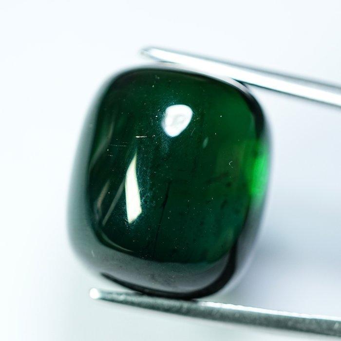 Groen Toermalijn - 49.39 ct - nternational Colored Gemstone, Sieraden, Tassen en Uiterlijk, Edelstenen