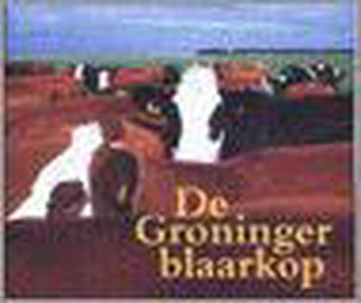 GRONINGER BLAARKOP 9789080621732, Boeken, Overige Boeken, Gelezen, Verzenden