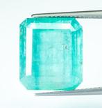 Zonder Minimumprijs Smaragd - 13.03 ct - Bellerophon Gemlab, Sieraden, Tassen en Uiterlijk, Edelstenen, Nieuw